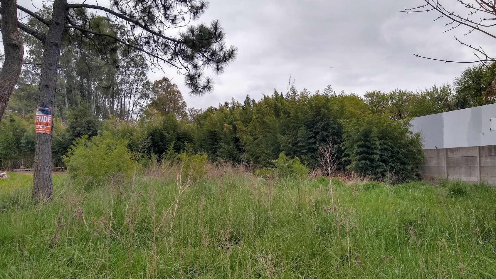 LOTE DE TERRENO 10 X 40 MTS.