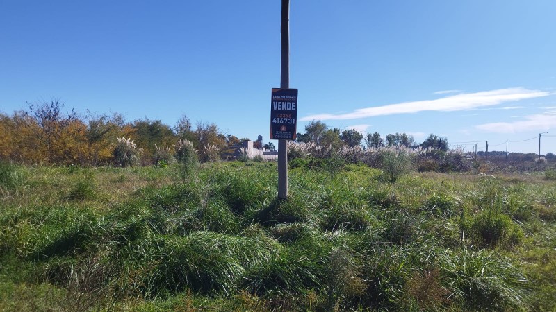 Venta de Lote de 12 × 50 metros - Carlos Casares