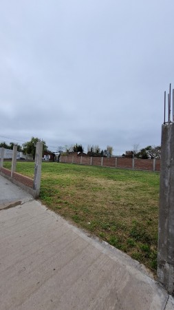 Lote en venta – Carlos Casares   