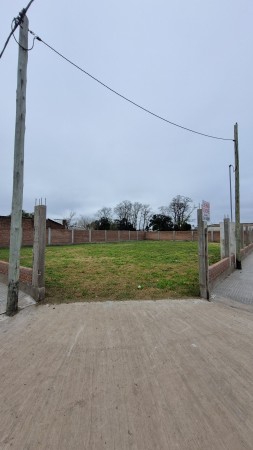 Lote en venta – Carlos Casares   