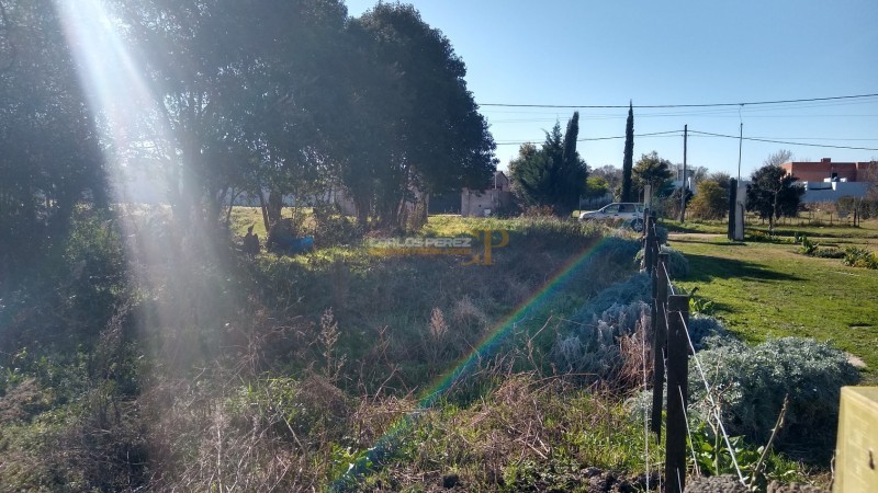 LOTE DE TERRENO 10 X 50 MTS.