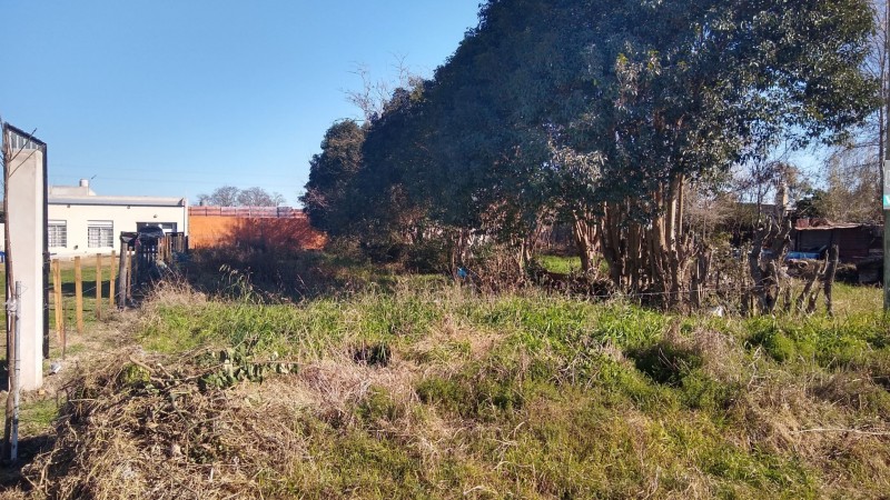 LOTE DE TERRENO 10 X 50 MTS.