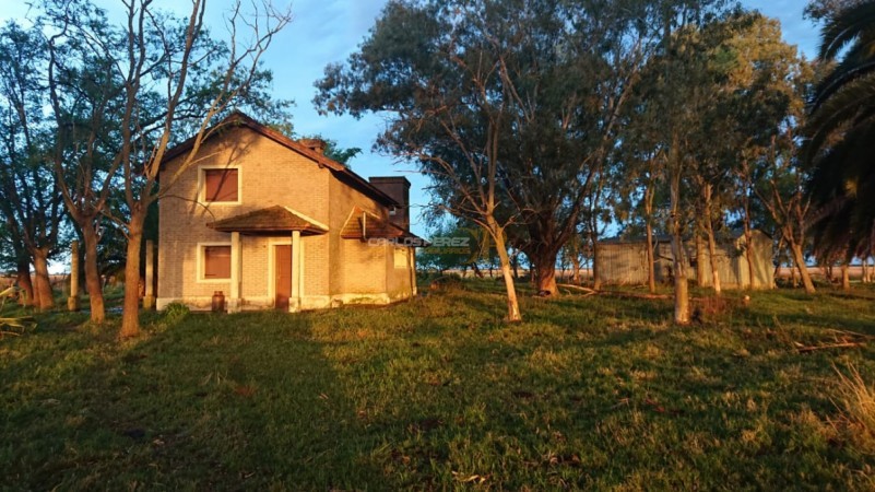 CAMPO EN VENTA EN CARLOS CASARES