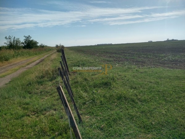 CAMPO EN VENTA EN CARLOS CASARES