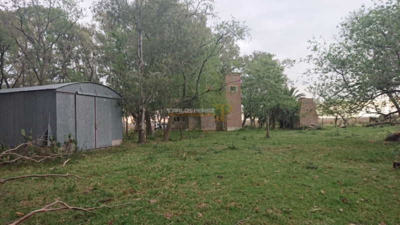 CAMPO EN VENTA EN CARLOS CASARES