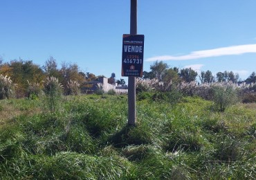 Venta de Lote de 12 × 50 metros - Carlos Casares